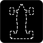 Phase Maniac Veration1.png